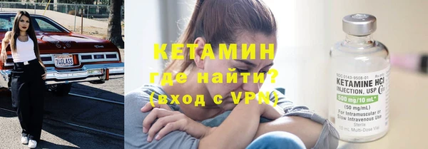гашик Дмитров