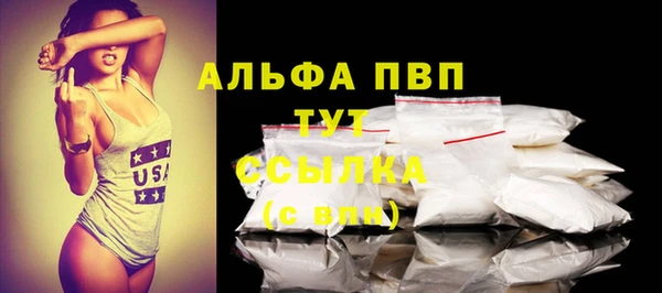 гашик Дмитров