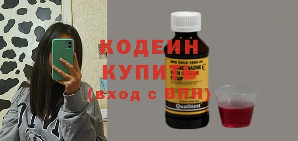 гашик Дмитров