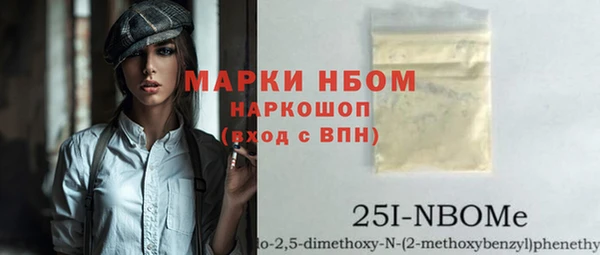 гашик Дмитров