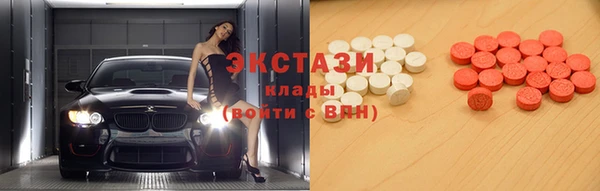 гашик Дмитров