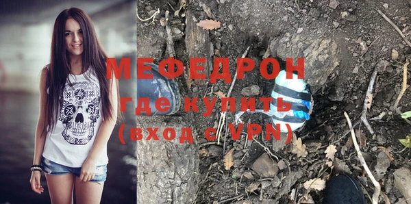гашик Дмитров