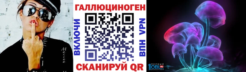 shop Telegram  Пласт  Псилоцибиновые грибы Psilocybine cubensis  гидра  